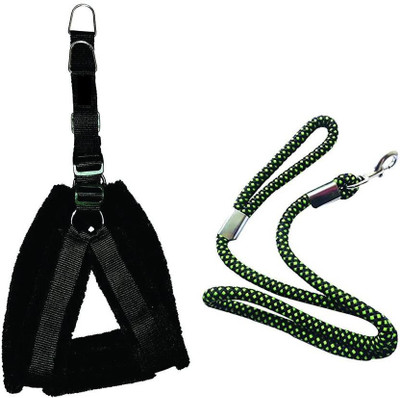 

PET HUB Dog Harness & Leash(, BLACK 1 INCH NYLON WITH PADDED