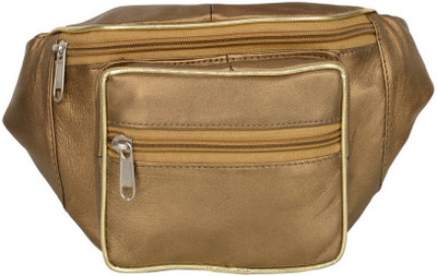 

AspenLeather Waist Bag(Gold)