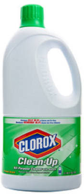 

CLOROX CLEAN UP Cleaner 2 L Jar Regular(2 L)