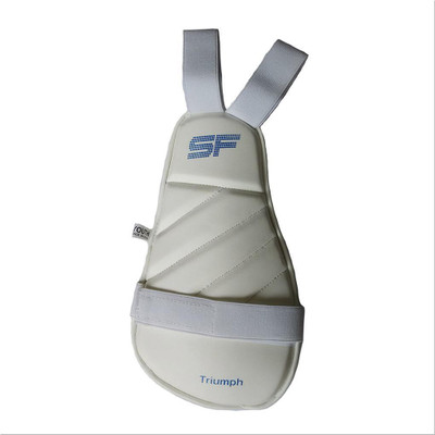 

SF INNER THIGH Cricket Inner Thigh Guard(, Multicolor