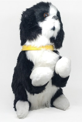 

Stylo Adorable And Cute Black & White Musical And Dancing Dog(Black, White, Multicolor)