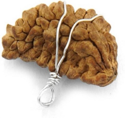 AJ AJ REATIL One Mukhi Rudraksha 1 Mukhi Rudraksha Pendant One Face Rudraksha Pendent Silk Dori Pendant