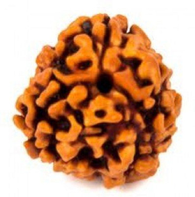 Astrogalaxy Astrogalaxy Certified Natural Three Mukhi (3 face) Rudraksha With Lab Tested Certificate Wood Pendant
