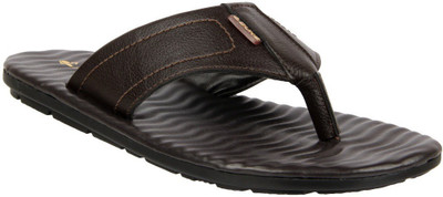 

Duke Men Brown Casual
