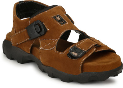 

Shoegaro Men Tan Casual