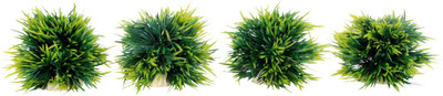 

Liger India Aquarium/ Fish Tank Decorative Artificial Plant Laterite Planted Substrate(Green)