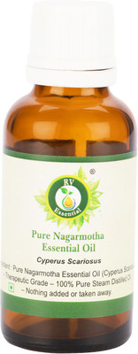 

R V Essential Pure Nagarmotha Essential Oil 10ml- Cyperus Scariosus (100% Pure and Natural Steam Distilled)(10 ml)