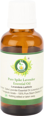 

R V Essential Pure Spike Lavender Essential Oil 30ml- Lavandula Latifolia (100% Pure and Natural Steam Distilled)(30 ml)