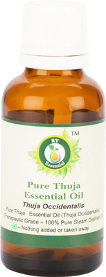 

R V Essential Pure Thuja Essential Oil 10ml- Thuja Occidentalis (100% Pure and Natural Steam Distilled)(10 ml)
