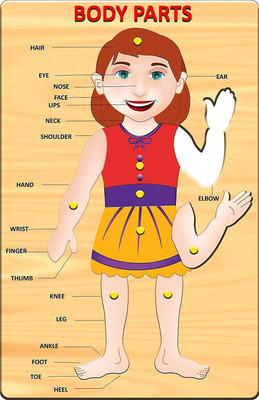 

Revent Wooden Puzzle for Kids - Parts Of Body(Multicolor)