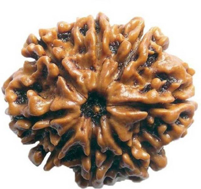 SHIVOHAM 8 Mukhi Nepal Rudraksha Wood Pendant