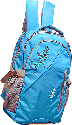 

Skybags Bags 35 Backpack(Blue), Light blue