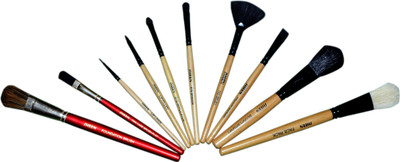 

Sheen Make up brush set(Pack of 10)