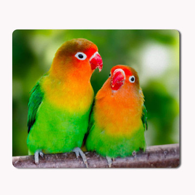 

iKraft A Pair of Lovebirds Cute Printed Mouse Pad- Custom Mousepad for Laptop/Computer- Multicolor Mousepad(Multicolor)