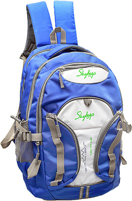 

Skybags Bags 35 Backpack(Blue), Navy blue