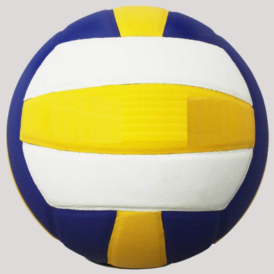 

QUINERGYS ™ Tournament Grade Premier Volleyball - 12 Years And Above, Size - 5 Volleyball - Size: (Pack of 1, Multicolor, Multicolor-12