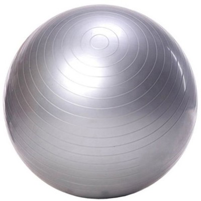 

GOCART 65 cm Exercise Ball Yoga Ball for Pilates, Yoga, Balance, Fitness, Slimming Gym Ball, Grey