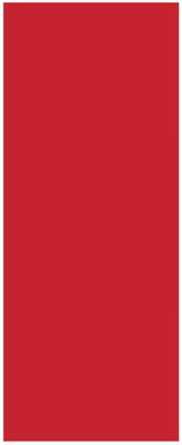 

QUINERGYS ® TPE Eco Friendly Non Slip Fitness Exercise Mat Carrying Strap-Workout Mat Yoga Red 4 mm Yoga Mat, Red-a-8