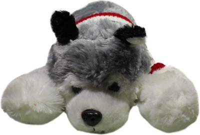 

Bells N Blooms Siberian Husky (38 cm Grey, White) - 38 cm(Grey)