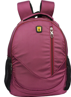 

Good Friends Hi Storage Casual Laptop 15.6 inch 30 Backpack(Blue), Purple