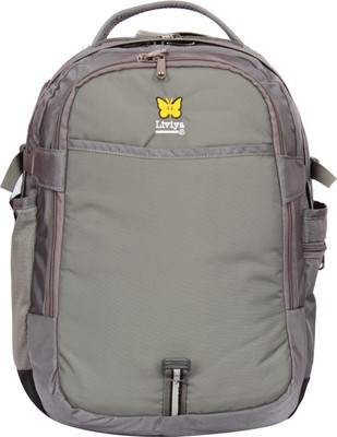 Liviya L154 37 Laptop Backpack(Grey)