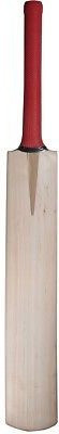 

TURBO Signative Pro English Willow Cricket Bat (Full Grains) English Willow Cricket Bat(, 1.2 kg