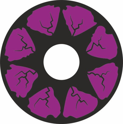 

Colour Perfection Crazy Contact Lenses/ With out power Quaterly Contact Lens(0.00, violet, Pack of 2)