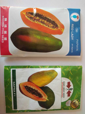 Siya Store red lady and sapna east west 10 gram pack seeds Seed(1400 per packet)