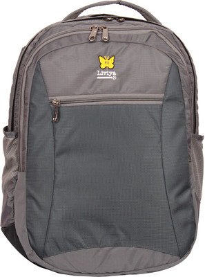 

Liviya LP164 37 Laptop Backpack(Grey)