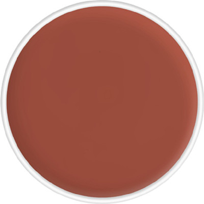

Kryolan Color Camouflage Cream Refill 4g ( D31 ) Concealer(D31, 4 g)