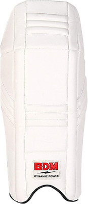 

BDM DYNAMIC SUPER Men's (39 - 43 cm) Wicket Keeping Pad(Multicolor, Left & Right)