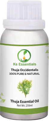 

Ks Essentials 100% Pure Thuja Essential Oil (Thuja occidentalis) Natural Therapeutic Grade(250 ml)
