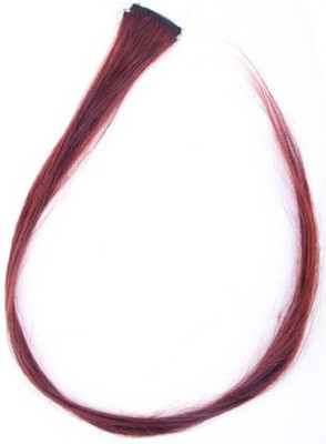 

EKAN Single Clip In Remy Highlighter Extension Hair Extension