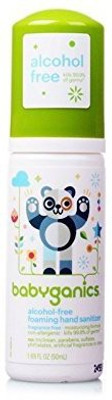 

Babyganics Germinator Hand Sanitizer - Fragrance Free - 1.69 oz(50 ml, Pump Dispenser)