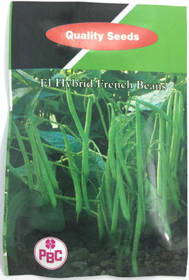 Quality Seed PBC Quality F1 Hybrid Chilly Nagma … Seed(1 per packet)