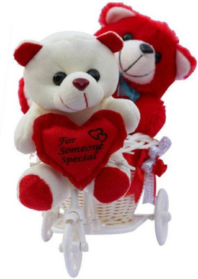 

ME&YOU Romantic Cycle Teddy Return Gifts for Wife Girlfriend Friend Sister On Birthday, Anniversary, Rakhi, Valentine's Day IZ18TRWCycle-004 - 16 cm(Multicolor)