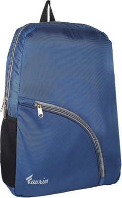 

Favria Single Compartment 25 L Backpack(Blue)