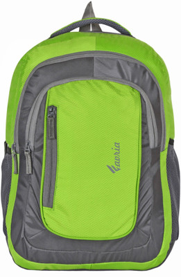 

Favria Beau Series 32 L Laptop Backpack(Green, Grey)