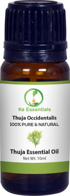 

Ks Essentials 100% Pure Thuja Essential Oil (Thuja occidentalis) Natural Therapeutic Grade(10 ml)