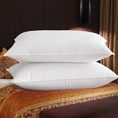 Shreejee Microfibre Solid Cushion Pack of 2(White)