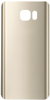 Emrse Samsung Galaxy Note 5 Back Panel(Gold)