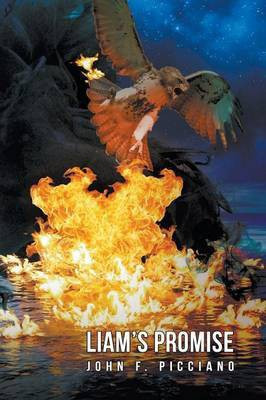 Liam's Promise(English, Paperback, Picciano John F)