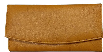 

Benicia Women Beige Artificial Leather Wallet(6 Card Slots), Multicolor