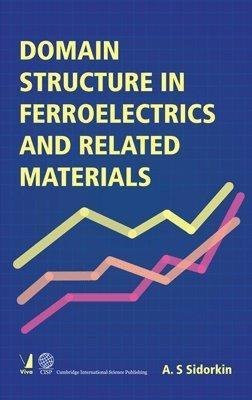 Domain Structures in Ferroelectrics and Related Materials(Others, Hardcover, A S Sidorkin)