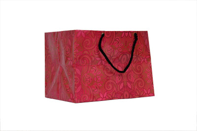 

A&A Printed Party Bag(Maroon, Pack of 10)