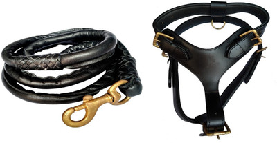 SAWAY Export Guanine Leather Dog Body Belt Brass Fitting Leather Rope  Dog Harness & Leash(, Black