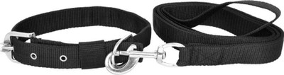 SAWAY Imported High Quality Comfortable  Dog Leash Collar Dog Collar & Leash(, Black