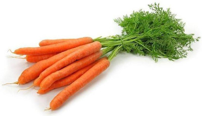 sporos CARROT Seed(25 per packet)