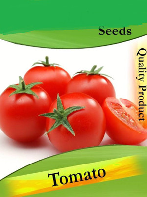 Paudha TOMATO Seed(25 per packet)
