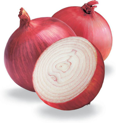 XOLDA ONION Seed(25 per packet)